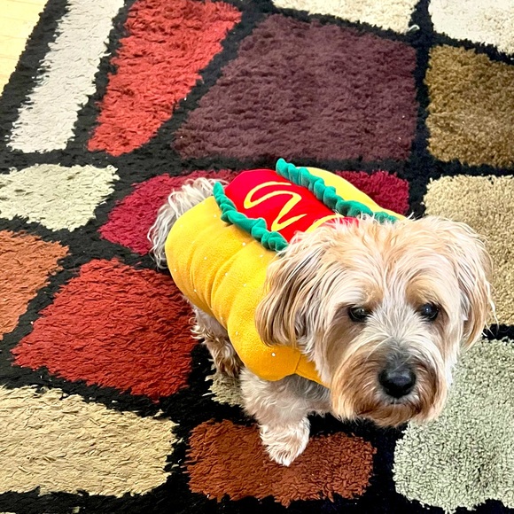 Meet your Posher, Crisilda - Picture 1 of 1